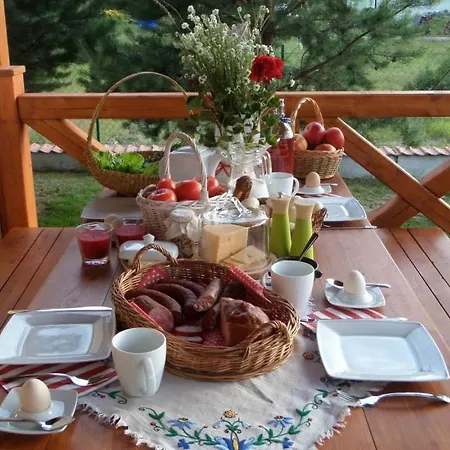 Dom Drewniany Na Kaszubach, Rzeka, Las, Pola, Niedaleko Jeziora Апартаменты