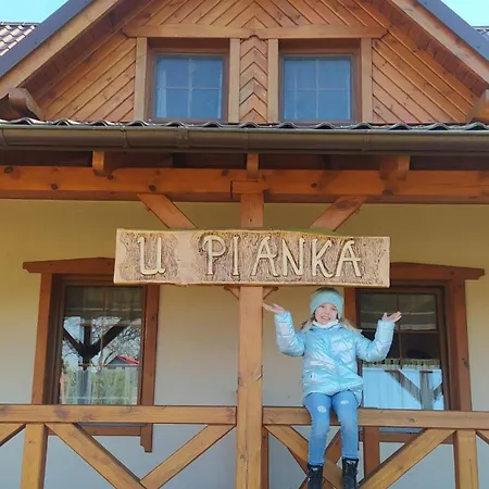 Dom Drewniany Na Kaszubach, Rzeka, Las, Pola, Niedaleko Jeziora Nowa Kiszewa