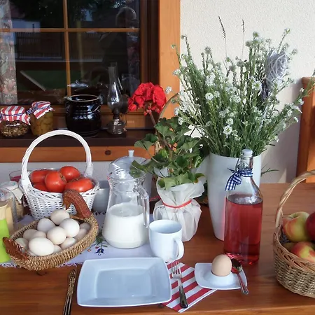 Апартаменты Dom Drewniany Na Kaszubach, Rzeka, Las, Pola, Niedaleko Jeziora Nowa Kiszewa