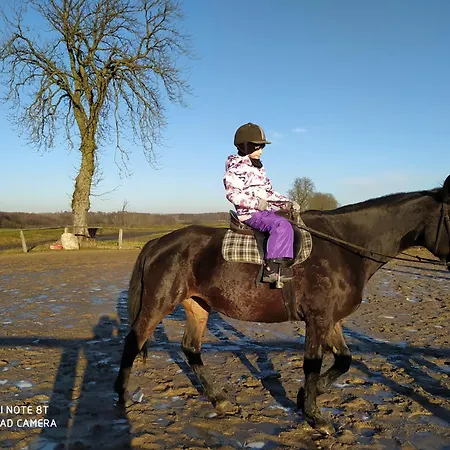 Апартаменты Dom Drewniany Na Kaszubach, Rzeka, Las, Pola, Niedaleko Jeziora Nowa Kiszewa