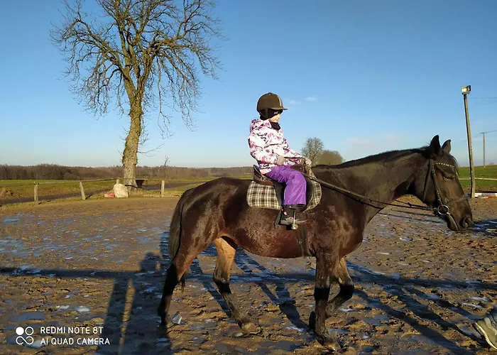 Lägenhet Dom Drewniany Na Kaszubach, Rzeka, Las, Pola, Niedaleko Jeziora Nowa Kiszewa