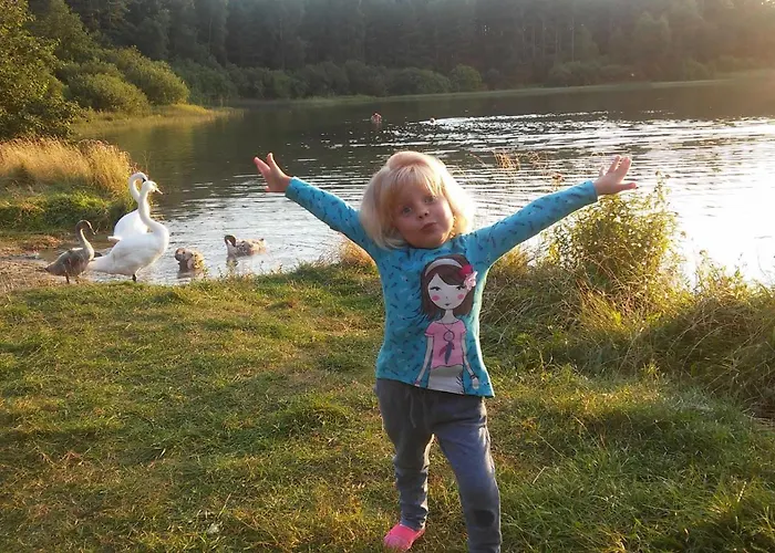 Lägenhet Dom Drewniany Na Kaszubach, Rzeka, Las, Pola, Niedaleko Jeziora Nowa Kiszewa